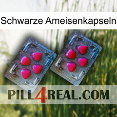 Black Ant Capsules 14
